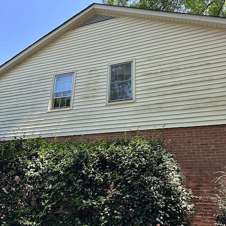 Why Mold and Mildew Grow Fast on Charlotte Homes (And How to Remove Them Safely)