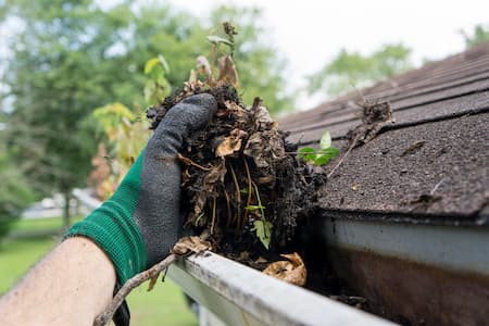 Gutter Cleaning Thumbnail
