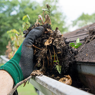Gutter cleaning